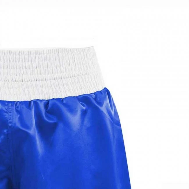 Adidas MULTIBOXING Short Blau/Weiss – Bild 3